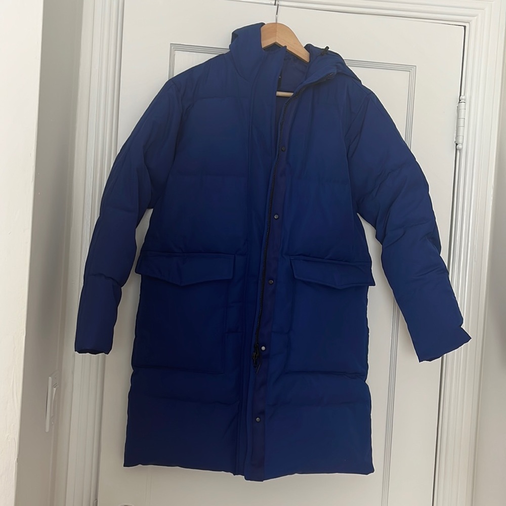 Everlane Renew Long Puffer Coat